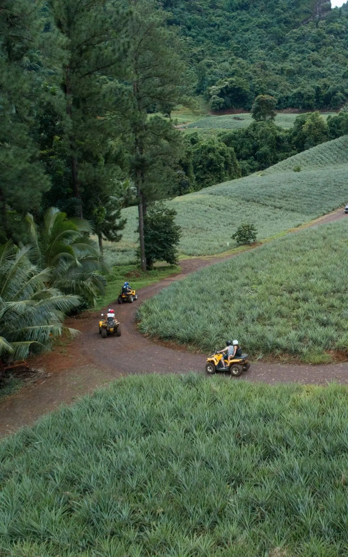 Quads sur une piste au milieu des champs