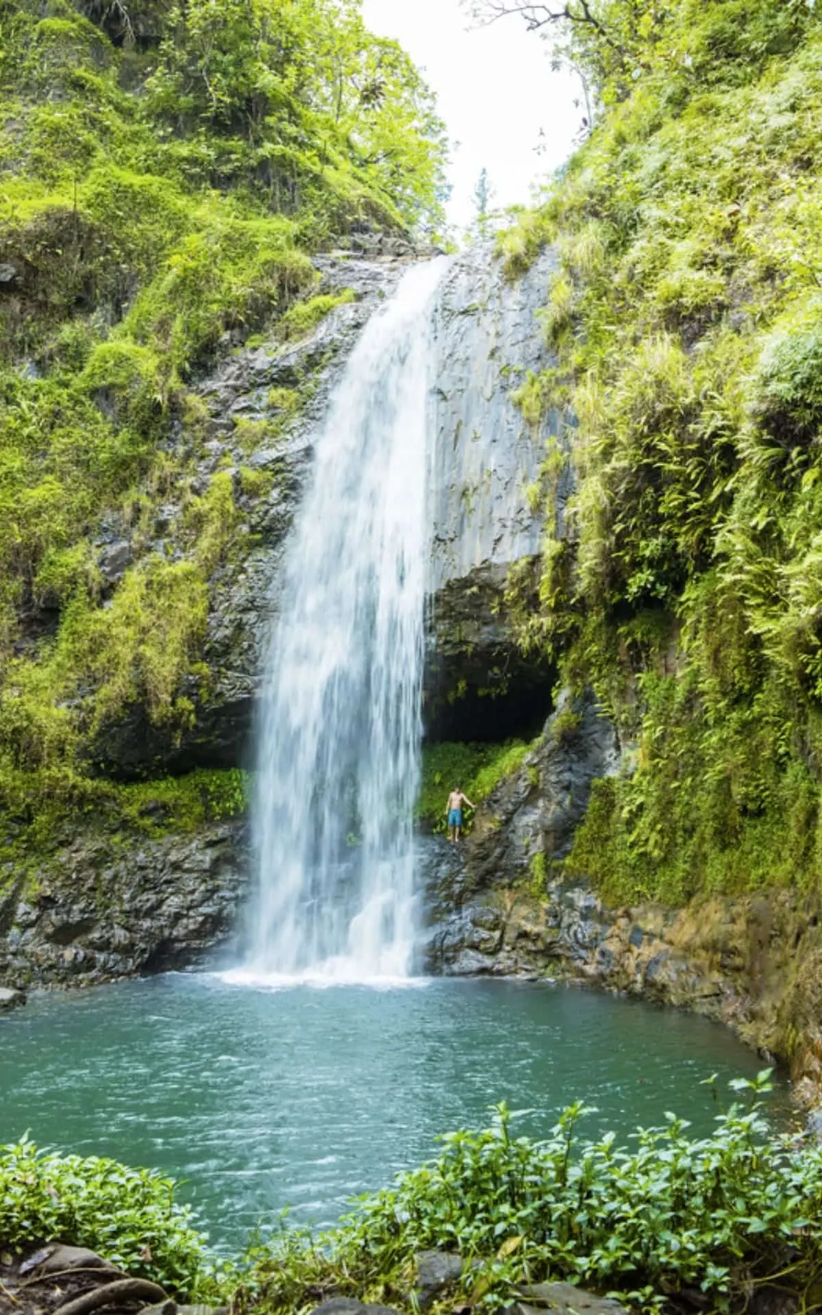 Cascade dans la végétation de Moorea